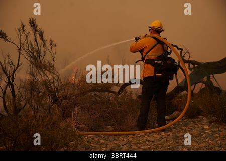 19. September 2020, Valyermo, Kalifornien, USA: Ein Feuerwehrmann zündet einen Joshua-Baum an. Das Bobcat-Feuer brach durch den Wüstenboden von Valyermo, Kalifornien, ein, nachdem die Winde aufstiegen. (Bild: © Allison Dinner/ZUMA Wire) Stockfoto