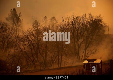 19. September 2020, Valyermo, Kalifornien, USA: Die Stadt Valyermo wird durch das Bobcat-Feuer in Brand gesetzt. . Das Bobcat-Feuer brach durch den Wüstenboden von Valyermo, Kalifornien, ein, nachdem der Wind aufzog. (Bild: © Allison Dinner/ZUMA Wire) Stockfoto