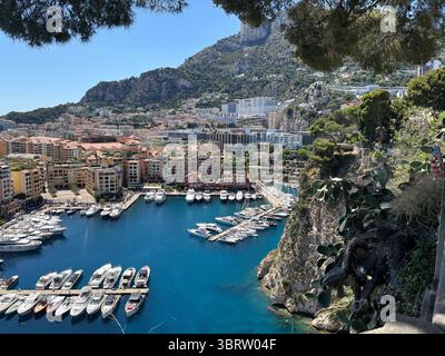 Blick vom Point du Vue de Fontvieille in Monaco. Stockfoto