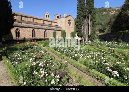 Fontfroide Abbey, Zisterzienserabtei, Stadt Narbonne, Departement Aude, Frankreich Stockfoto