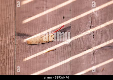 Ein Herbstblatt liegt auf einer rustikalen Holzfläche, die von natürlichem Sonnenlicht beleuchtet wird, und schafft ein Zusammenspiel von Licht und Schatten, das saisonale tran symbolisiert Stockfoto