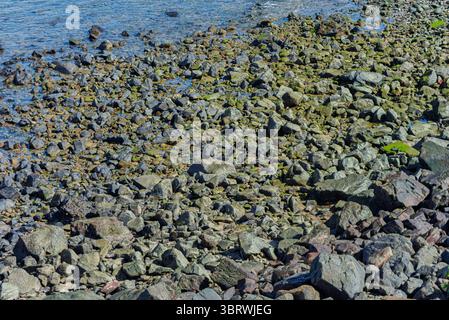 Blick auf die Strandwellen, die bei Ebbe auf dunklen Felsen brechen. Paradiesischer Strand. Tadellose Natur. Brasilien. Stockfoto