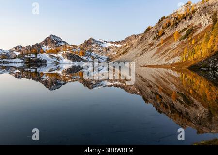 9. Juli 2020, Glacier Peak Wilderness, Washington, Vereinigte Staaten: Lärchenbäume, die sich während des kühleren Frühherbstwetters am Lower Ice Lake im Okanogan Wenatchee National Forest von Grün zu Gelb verwandeln. Lärchen sind Nadelbäume der Gattung Larix aus der Familie Pinaceae. Lärchen unterscheiden sich von den meisten Nadelbäumen, weil sie Laub haben, sie verlieren ihre Nadeln bei jedem Fall. (Bild: © Tom Kirkendall/ZUMA Wire) Stockfoto