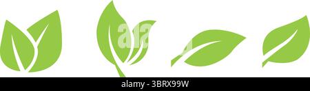 Grüne Blattsymbole gesetzt. Leaves-Symbol, grünes Blatt der Sammlung. Elements Design für natürliche, umweltfreundliche, vegane Bio-Etiketten. Vektorabbildung EPS 10 Stock Vektor