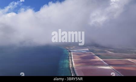 Aus der Vogelperspektive pulsierende rosafarbene Salinen, die sich im Kontrast zum tiefblauen Meer unter einem Baldachin aus weichen, wehenden Wolken, Kralendijk, Bonaire, Karibik Niederlande, abheben. Stockfoto
