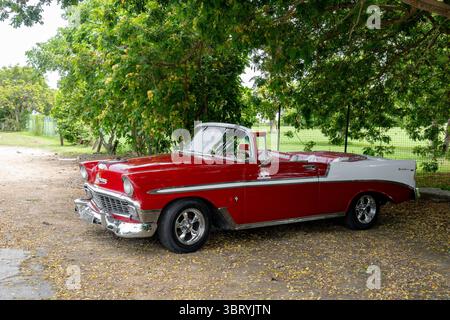 Varadero, Kuba - 2. September 2023: Rot-weißes Chevrolet Belair 1956 Cabrio in Varadero, Kuba, unter einem Baum geparkt Stockfoto