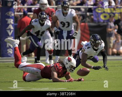 15. September 2019, Baltimore, MD, USA: Brandon Carr von Baltimore Ravens, links, bricht einen Pass für Larry Fitzgerald der Arizona Cardinals Wide Receiver in der ersten Halbzeit am Sonntag, 15. September 2019 im M & T Bank Stadium in Baltimore, MD. (Kreditbild: © TNS via ZUMA Wire) Stockfoto