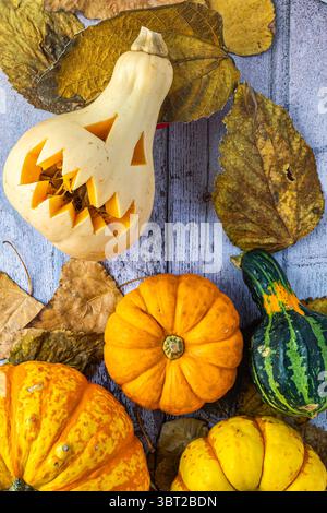 Zenithal-Aufnahme mit bunten Kürbissen und Herbstblättern auf weißem und blauem Holz, vertikalem Format und Kopierraum Stockfoto