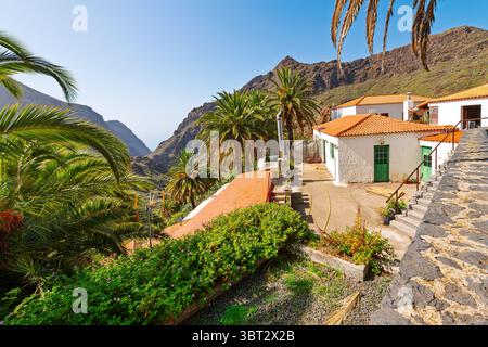 Das abgelegene Bergdorf Masca, Spanien, auf der Kanarischen Insel Teneriffa im Macizo de Teno. Stockfoto