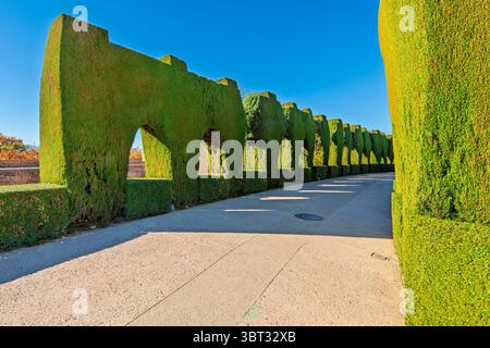Bäume und Büsche entlang der Calle Real de la Alhambra, oder Königsstraße, in den Gärten des historischen Alhambra-Palastes in Granada, Spanien. Stockfoto
