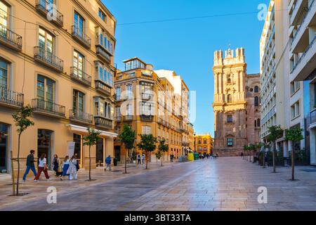 Blick auf den barocken Turm der Kathedrale von Malaga, oder Catedral de la Encarnación de Málaga, im historischen Centro Storico Viertel von Malaga Spanien. Stockfoto
