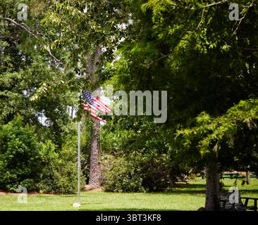 Central Park in der Gemeinde Lakeland, GA USA, mit einer Bogenbrücke über einen Teich, der United States Flag und einem alten internationalen Traktor! Stockfoto