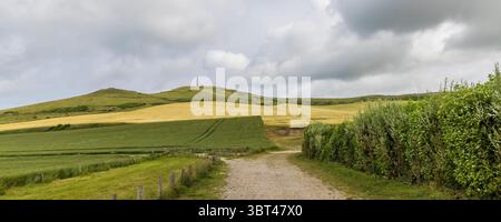 Naturlandschaft mit Obelisken auf dem Hügel des Dover Patrol Monument am Cap Blanc-Nez an der Opalküste Norhern Frankreich Stockfoto