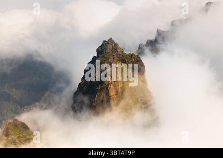 Über den Wolken: Pico do Arieiro in all its Majesty 15.06.2025 Portugal Madeira, im Foto zusehen: Pico do Ariero Pico do Arieiro Madeira Portugal *** über den Wolken Pico do Arieiro in all its Majesty 15 06 2025 Portugal Madeira, Foto ansehen Pico do Arieiro Madeira Portugal Copyright: XEHLxMedia/MichelxKöhlerx 20250615 Madeira-Portugal-Travel 43 Stockfoto