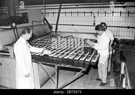 Bäckereibericht für Werbung Vermaat, Whizgle News, Dutch Desk, Niederlande, 1950 - 2000 am 26-10-1961. Diese Themen werden in der Abbildung angezeigt. In einer geschäftigen Bäckerei sind drei Personen mit der akribischen Aufgabe beschäftigt, Tabletts mit frisch gebackenen Waren zu beaufsichtigen. Die Szene zeigt Reihen ordentlich angeordneter, goldbrauner Gebäckstücke, die leicht glitzern und auf ihre Frische hinweisen. Die Einzelpersonen sind in weißen Mänteln gekleidet, was ihre Rollen andeutet, und ihre fokussierten Ausdrucksformen deuten auf Konzentration und Hingabe an ihr Handwerk hin. Der Mann auf der linken Seite inspiziert ein Tablett genau, wh Stockfoto