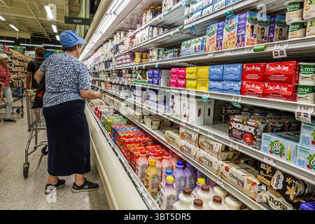 Miami Beach Florida, North Beach, Publix Supermarkt, Lebensmittelgeschäft, Inneneinrichtung, Joghurtbereich Milchgang, Regale Verkauf, verschiedene Stockfoto
