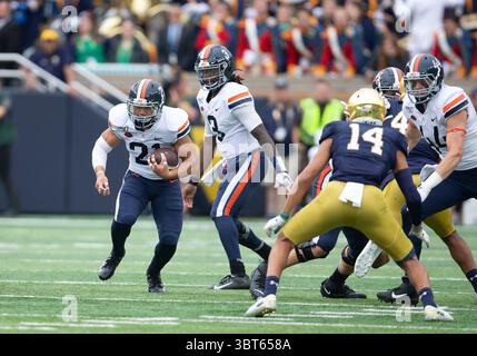 28. September 2019: Virginia Running Back Wayne Taulapapa (21) läuft mit dem Ball während der NCAA-Football-Action zwischen den Virginia Cavaliers und den Notre Dame Fighting Irish im Notre Dame Stadium in South Bend, Indiana. John Mersits/CSM.(Kreditbild: &Copy; John Mersits/CSM via ZUMA Wire) Stockfoto