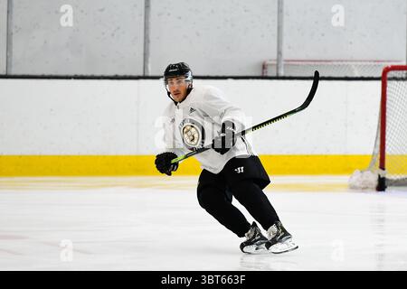 1. Oktober 2019: Brad Marchand (63) nimmt am Boston Bruins Training in der Warrior Ice Arena in Boston Teil. Eric Canha/CSM(Kreditbild: &Copy; Eric Canha/CSM via ZUMA Wire) Stockfoto