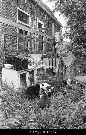 Fun with Cats de Zilk Persons, Whizgle News, Dutch Desk, Niederlande, 1950 - 2000 am 10-07-1968. Dies sind die Themen im Bild. Die Szene entfaltet sich in einer ländlichen Umgebung, in der ein verwittertes Haus im Hintergrund steht, dessen Backsteinmauern teilweise von einem Gewirr von bewachsener Vegetation verdeckt sind. Das Gebäude verfügt über eine bescheidene Veranda und mehrere Fenster, von denen einige einen Blick auf das Innere erlauben. Im Vordergrund steht eine ältere Frau in einem gemusterten Rock und einer einfachen Bluse mit leicht gebeugtem Rücken, was auf Weisheit und Ermüdung hindeutet. Ihr silbernes Haar ist zurückgezogen Stockfoto