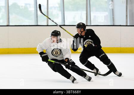 1. Oktober 2019: Brad Marchand (63) nimmt am Boston Bruins Training in der Warrior Ice Arena in Boston Teil. Eric Canha/CSM(Kreditbild: &Copy; Eric Canha/CSM via ZUMA Wire) Stockfoto