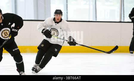 1. Oktober 2019: Brad Marchand (63) nimmt am Boston Bruins Training in der Warrior Ice Arena in Boston Teil. Eric Canha/CSM(Kreditbild: &Copy; Eric Canha/CSM via ZUMA Wire) Stockfoto