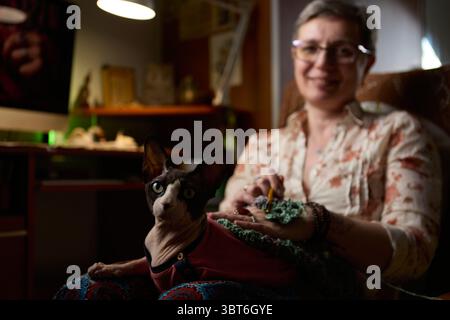 Eine selbstbewusste reife Frau, die in einer gemütlichen Umgebung sitzt und ein handgefertigtes Stück häkelt. Eine Sphynx-Katze in einem roten Pullover sitzt auf ihrem Schoß. Stockfoto