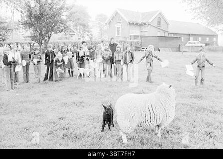 Kinder der Klasse erhalten eine Tour durch die Farm, Whizgle News, Dutch Desk, Niederlande, 1950 - 2000 im Jahr 1977. Dies sind die Elemente im Bild. Die Szene zeigt ein lebhaftes Treffen im Freien, das sich um einen grasbewachsenen Bereich dreht, wo eine Gruppe von Kindern und ein paar Erwachsene mit ein paar Schafen interagieren. Im Vordergrund steht ein flauschiges weißes Schaf, dessen Wollfell sich von einer kleinen schwarzen Ziege abhebt, die neugierig erscheint. Beide Tiere sind zentral positioniert, was die Aufmerksamkeit der Zuschauer auf sich zieht. Um sie herum gibt es eine Gruppe von Kindern, einige halten Blatt Papier, möglicherweise Stockfoto