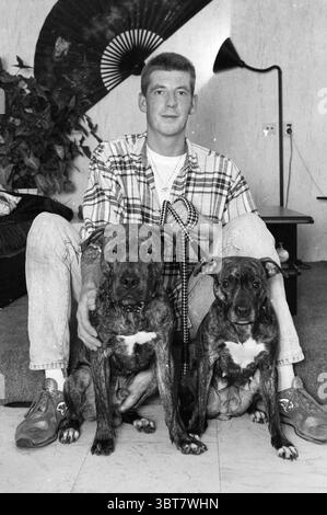 Pit Bulls Boeree, Whizgle News, Dutch Desk, Niederlande, 1950 - 2000 am 23-10-1990. Das Bild enthält diese Themen. In einem gemütlichen Innenbereich sitzt ein junger Mann auf dem Boden mit zwei Hunden an der Seite. Der Mann hat ein lässiges Aussehen, gekleidet in einem karierten Hemd und hellen Jeans, die ein entspanntes Auftreten ausstrahlen. Sein Haar ist kurz und ordentlich gestylt. Die Hunde neben ihm sind ähnlich in der Rasse, sie zeigen eine Mischung aus Braun und Grau im Fell, mit weißen Flecken auf der Brust. Sie wirken gepflegt und freundlich, jeder sitzt ruhig und blickt in die Kamera. Der Hintergrund weist einen auf Stockfoto