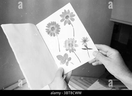 Getrocknete Blumen Booklet Municipal Archives IJmuiden Blumen und Blumenmädchen Bücher und Buchhändler IJmuiden the Netherlands, Whizgle News, Dutch Desk, Niederlande, 1950 - 2000 am 27-08-1985. Dies sind die Themen im Bild. Ein Paar Hände hält sanft ein Buch auf, das mit feinen botanischen Illustrationen gefüllt ist. Die Illustrationen zeigen verschiedene Blumen und Blätter, die fachmännisch in sanften monochromen Tönen dargestellt werden. Sechs unterschiedliche Blumenmuster prägen die Seiten, von denen jede eine andere Art zeigt, mit komplizierten Details von Blütenblättern, Stämmen und Blättern. Im Hintergrund wird eine Unschärfe angezeigt Stockfoto