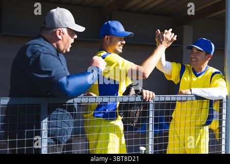 Männlicher Baseballtrainer und Spieler, die High Five in der Dugout hinter dem Zaun feiern, mit Baseballhandschuhen Stockfoto
