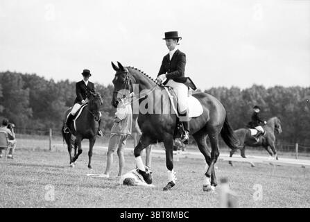 Dressur Horses Sp'woude Spaarnwoude, Whizgle News, Dutch Desk, Niederlande, 1950 - 2000 am 14-08-1992. Das Bild enthält diese Themen. In der Szene stehen mehrere Reiter elegant auf ihren gut gepflegten Pferden und zeigen eine traditionelle Reitveranstaltung. Die Fahrer tragen formelle Kleidung mit maßgeschneiderten Jacken und hohen, schlanken Hüten, die zur Raffinesse des Augenblicks beitragen. Jedes Pferd zeigt ein poliertes Fell mit tiefbraunen Tönen und einem glänzenden Glanz unter der weichen, diffusen Beleuchtung, die eine ruhige Atmosphäre schafft. Die Kulisse zeigt ein üppiges, offenes Stockfoto