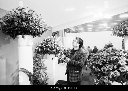 Aalsmeer Flower Auction Flower Trade Ausstellung Blumen und Blumenmädchen Auktion Aalsmeer, Whizgle News, Dutch Desk, Niederlande, 1950 - 2000 am 06-11-1987. Diese Themen sind in der Abbildung dargestellt. Die Szene präsentiert eine geschäftige Blumenausstellung mit einer Vielzahl von lebendigen Blüten. Große, üppige Arrangements dominieren den Raum mit Blumen aus hohen, zylindrischen Vasen in verschiedenen Rosa-, Rot- und Weißtönen. Die Blüten erscheinen akribisch angeordnet, ihre Blütenblätter weich und zart, laden zur Bewunderung ein. Im Vordergrund untersucht ein Mann eine der Displays genau, seinen Ausdruck Stockfoto