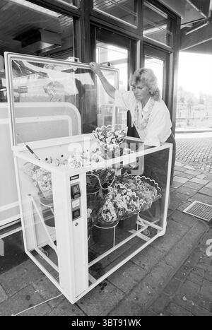 Blumenautomat in Shell Station, Whizgle News, Dutch Desk, Niederlande, 1950 - 2000 am 05-08-1991. Dies sind die Elemente im Bild. In der Szene befindet sich eine Frau neben einem klaren Glasvitrine, gefüllt mit verschiedenen bunten Sträußen. Sie scheint verlobt zu sein und lehnt sich leicht nach vorne, während sie die Blumen darin anordnet. Das Gehäuse selbst ist überwiegend weiß und zeigt lebendige, blühende Blüten wie Tulpen und Gänseblüten, deren Farben von hellen Gelb- und Rottönen bis hin zu weichen Rosa- und Violett reichen. Die Umgebung um sie herum hat einen leicht Retro-Vibe, gekennzeichnet durch sauberes l Stockfoto