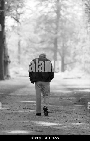 Ältere Depression, Whizgle News, Dutch Desk, Niederlande, 1950 - 2000 am 20-06-1991. Diese Themen sind in der Abbildung dargestellt. In der Szene spaziert eine Einzelfigur auf einem Kiesweg, der sich durch einen ruhigen Wald schlängelt. Der Mann, der in einer dunklen Jacke und einer hellen Hose gekleidet ist, hat seine Hände in seine Taschen gesteckt. Seine Haltung ist leicht gebeugt, was auf einen kontemplativen Zustand hindeutet, während er sich langsam vom Betrachter entfernt. Die Umgebung ist mit hohen Bäumen gefüllt, deren Stämme dick sind und ihre Äste ein Überdachungsdach bilden. Weiches Licht filtert durch die Blätter und wirkt sanft Stockfoto