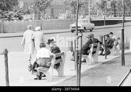 Bänke mit Menschen in Haarlem Personen Haarlem Niederlande, Whizgle News, Dutch Desk, Niederlande, 1950 - 2000 am 23-06-1964. Dies sind die Elemente im Bild. In einer ruhigen, urbanen Umgebung sind mehrere Holzbänke entlang eines geräumigen Gehwegs gesäumt. Diese Bänke werden von einer vielfältigen Gruppe von Personen besetzt, die jeweils ihre eigenen Aktivitäten ausüben und zu einem reichhaltigen Tableau des Alltags beitragen. Auf der linken Seite lehnen sich zwei ältere Figuren nach vorne, in Gesprächen versunken, und ihre Ausdrücke spiegeln Wärme und Engagement wider. Der eine ist ein Mann, der einen Bowler-Hut trägt und dunkle Kleidung trägt, die ein formelles o andeutet Stockfoto