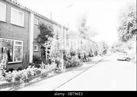 Häuser im Zusammenhang mit Renovierung Leeghwaterlaan Heemstede Häuser und Hausbau Renovierung Heemstede Leeghwaterlaan Niederlande, Whizgle News, Dutch Desk, Niederlande, 1950 - 2000 am 16-08-1988. Diese Themen sind in der Abbildung dargestellt. Die Szene zeigt eine ruhige Wohnstraße, die durch eine Reihe von Ziegelhäusern gekennzeichnet ist, jedes mit einem einfachen und funktionalen Design. Die Häuser liegen auf beiden Seiten der Straße und bieten eine Mischung aus hellen und dunklen Ziegeln, einige mit ordentlich geschnittenen Hecken und bunten Blumenbeeten, die dem ansonsten stummen Raum einen Hauch von Lebendigkeit verleihen Stockfoto