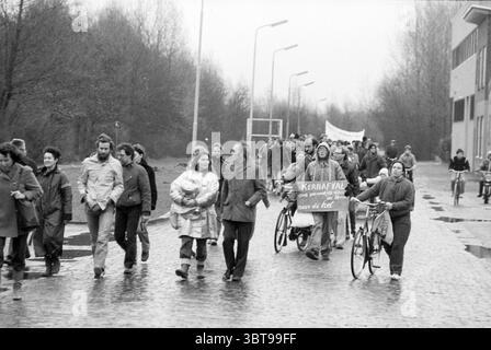 Demonstration der Lagerung antiatomarer Abfälle Velsen Demonstration, Whizgle News, Dutch Desk, Niederlande, 1950 - 2000 am 15-01-1983. Die Abbildung zeigt diese Themen. Die Szene zeigt eine dynamische Zusammenkunft von Individuen, die auf einem kopfsteingepflasterten Pfad marschieren, gesäumt von kargen, blattlosen Bäumen. Die Atmosphäre ist grau und bedeckt, was der Umgebung einen düsteren Ton verleiht. Die Menge scheint animiert zu sein, einige halten Banner in der Hand, während andere sich mit Gesprächen beschäftigen oder einfach nur mit einem bestimmten Zweck laufen. Es ist eine vielfältige Gruppe von Teilnehmern anwesend, die von jungen Erwachsenen bis zu älteren Personen reicht. Viele haben Kleidung Stockfoto