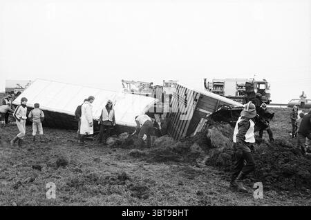 Cattle Truck in Graben Viehzucht Landwirtschaft Santpoort, Whizgle News, Dutch Desk, Niederlande, 1950 - 2000 am 02-01-1984. Das Bild enthält diese Themen. Die Szene entfaltet sich in einer ländlichen Umgebung, wo ein Lkw umgekippt ist und sein Anhänger unangenehm im Schlamm positioniert ist. Die helle, verwitterte Farbe des Lkws steht in starkem Kontrast zur düsteren, dunklen Erde und unterstreicht das Chaos der Situation. Um den Lkw herum gibt es eine Gruppe von Menschen, die in verschiedenen Arbeitskleidung gekleidet sind – einige in Jeans und T-Shirts, andere in schwerer Oberbekleidung, die für die feuchten Bedingungen geeignet ist. Einzelne sind in verschiedenen Aktivitäten aktiv Stockfoto