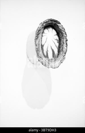 Art Acquisition Municipality, Whizgle News, Dutch Desk, Niederlande, 1950 - 2000 am 16-02-1995. Das Bild enthält diese Themen. Die Szene zeigt ein markantes, dreidimensionales Objekt, das an einer unberührten weißen Wand montiert ist. Das Objekt hat eine ovale Form mit einer strukturierten, rauen Außenkante, die fast einer natürlichen Schale oder einem Stein ähnelt. Seine Oberfläche erinnert an organische Materialien, mit einer Mischung aus Grautönen und gedämpften Tönen, was auf eine erdige Qualität hindeutet. Im Inneren der ovalen Form befindet sich eine glatte, reflektierende Oberfläche, die einen starken Kontrast zum robusten Äußeren bildet. Dieser Innenbereich ist dezent Stockfoto