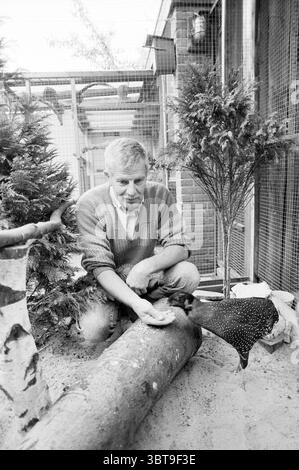 Mr. Van der Werff mit Birds Birds, Whizgle News, Dutch Desk, Niederlande, 1950 - 2000 am 26.09.1989. Diese Themen werden in der Abbildung angezeigt. In einer ruhigen Umgebung im Freien hockt sich ein Mann in der Nähe eines hölzernen Baumstamms, vertieft in eine Interaktion mit einem Vogel. Die Szene ist von einer rustikalen Umgebung umgeben, die sich aus den Erdtönen des Baumstamms und des Sandbodens abzeichnet. Der Mann, der in einem gemütlichen, hellen Pullover und einer taillierten Hose gekleidet ist, wirkt fokussiert und sanft, während er dem gefleckten Vogel Nahrung anbietet, der deutlich schwarze Federn mit kleinen weißen Flecken zeigt. In der Umgebung gibt es Gree Stockfoto