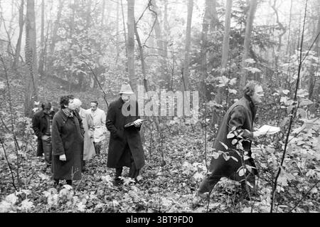 Mitglieder des Parlaments im Kopje van Bloemendaal Council of Stände Bloemendaal, Whizgle News, Dutch Desk, Niederlande, 1950 - 2000 am 30-11-1982. Das Bild enthält diese Themen. Die Szene spielt in einem dichten, nebelbelbeladenen Wald, wo eine Gruppe von Individuen durch einen Teppich aus gefallenen Blättern und Laub navigiert. Die Stimmung ist besinnlich und ruhig, verstärkt durch die gedämpfte Beleuchtung, die durch die Bäume filtert und sanfte Schatten wirft. Im Vordergrund schreitet ein Mann selbstbewusst, gekleidet mit langem Mantel und Hut, der die Gruppe anführt. Sein Ausdruck ist fokussiert, vielleicht tief in die Sache vertieft Stockfoto