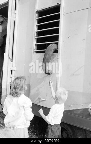 Bau des Zirkus Renz in Schalkwijk Haarlem Niederlande, Whizgle News, Dutch Desk, Niederlande, 1950 - 2000 am 07.05.1990. Diese Themen sind in der Abbildung dargestellt. In einer lebhaften Umgebung im Freien werden zwei Kinder in einem Moment der Neugier und Begeisterung mit der Welt um sie herum beschäftigt. Ein Kind, ein Mädchen mit kurzen, hellen Haaren, trägt eine leichte Jacke und sieht aufmerksam nach oben. Sie steht neben einem Jungen, der kurze, helle Haare hat, in einem einfachen Hemd und Shorts gekleidet. Beide zeigen erstaunliche Ausdrucksformen, während sie mit einer großen, rätselhaften Figur interagieren, teilweise V Stockfoto