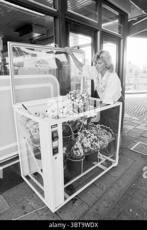Blumenautomat in Shell Station, Whizgle News, Dutch Desk, Niederlande, 1950 - 2000 am 05-08-1991. Das Bild enthält diese Themen. In einer lebhaften Umgebung im Freien steht eine Frau vor einer großen Vitrine mit verschiedenen Blumen. Die Vitrine besteht aus klarem Glas und weißem Metall, sodass Sie einen vollen Blick auf die farbenfrohen Blumenarrangements im Inneren haben. Die Frau mit weichen, lockigen Haaren trägt eine helle Bluse und scheint sich auf die Blumengestaltung konzentriert zu sein, wobei sie ein Gefühl von Sorgfalt und Hingabe für ihre Aufgabe zeigt. Es gibt eine warme, einladende Atmosphäre um sie herum Stockfoto