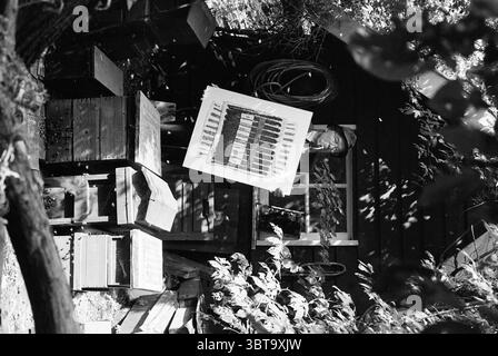 Imker - Künstler mr. Holst Trinité, Whizgle News, Dutch Desk, Niederlande, 1950 - 2000 am 21.07.1993. Das Bild enthält diese Themen. Die Szene zeigt eine rustikale Outdoor-Umgebung, gefüllt mit willkürlich gestapelten Holzkisten und einem kleinen, dunkel gefärbten Schuppen im Hintergrund. Der Schuppen, der teilweise durch Laub verdeckt ist, verleiht der Komposition ein Gefühl von Tiefe. Ein Mann steht in der Mitte und hält ein großes Blatt, das sich im Kontrast zu den umgebenden Texturen befindet; das Blatt scheint mit verschiedenen farbigen Abschnitten detailliert zu sein, was einen Plan oder ein Layout andeutet. Die allgemeine Stimmung vermittelt ein Gefühl von Industriebetrieb Stockfoto