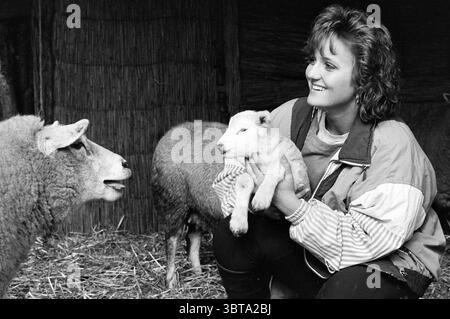Lambs bei Mr. Lemmers V'broek Velserbroek, Whizgle News, Dutch Desk, Niederlande, 1950 - 2000 am 22.03.1992. Dies sind die Themen im Bild. Die Szene fängt eine warme Interaktion zwischen einer Frau und einem kleinen Lamm in einer rustikalen Scheune ein. Die Frau, die in Schichten gekleidet ist, mit einer lebendigen Jacke, die sich im Kontrast zu den Erdtönen, die sie umgeben, abhebt, wiegt das Lamm sanft in ihren Armen und zeigt einen Moment der Zärtlichkeit und Sorgfalt. Das Lamm mit seinem flauschigen weißen Fell wirkt klein und unschuldig und verleiht der Atmosphäre ein Gefühl der Verspieltheit. In der Nähe steht ein reifes Schaf, sein Wollmantel erscheint Stockfoto
