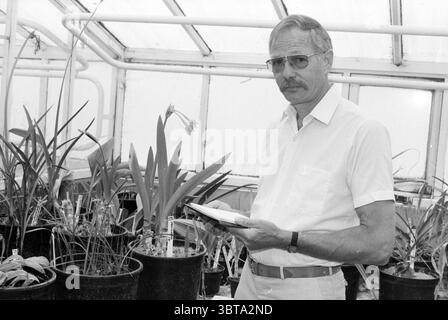 Mr. Koster Glühbirnenlabor. Lisse, Whizgle News, Dutch Desk, Niederlande, 1950 - 2000 am 18-06-1990. Diese Themen sind in der Abbildung dargestellt. In einem hellen Gewächshaus mit einer Vielzahl von Pflanzen steht ein Mann inmitten großer Töpfe mit verschiedenen Orchideen und Grünpflanzen. Die Atmosphäre ist feucht, Sonnenstrahlen filtern durch die Glasscheiben der Struktur und erzeugen ein warmes und einladendes Licht. Die Pflanzen sind reich an Grüntönen, mit Farbtupfern von Blüten, die von cremigem weiß bis leuchtendem Violett reichen. Der Mann, gekleidet in einem kurzärmeligen weißen Hemd und einer beigen Hose, hat einen durchdachten Ausdruck Stockfoto