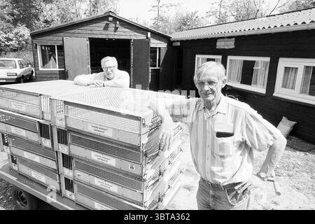 Neues Gebäude für die Snelle Wieken Taubenvereinigung, Whizgle News, Dutch Desk, Niederlande, 1950 - 2000 am 11-05-1993. Die Abbildung zeigt diese Themen. Die Szene zeigt zwei Männer vor einem rustikalen Holzbau, der als Kulisse dient. Das dunkle Äußere des Gebäudes steht im Kontrast zum umgebenden Grün und weist auf eine natürliche, halbländliche Umgebung hin. Sonnenlicht filtert durch Bäume und wirft schattige Schatten über den Boden, was der Atmosphäre eine helle, aber gedämpfte Qualität verleiht. Im Vordergrund stehen zwei Männer neben einem Metallwagen mit mehreren großen, gestapelten Käfigen. Jede ca. Stockfoto