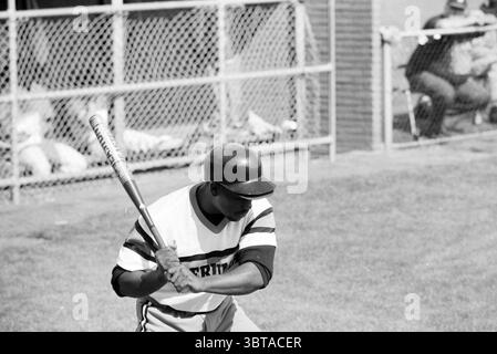 Softball Men Kennemerland, Whizgle News, Dutch Desk, Niederlande, 1950 - 2000 am 19-08-1994. Diese Themen werden in der Abbildung angezeigt. Die Szene fängt einen Moment auf einem Baseballfeld ein, eingerahmt in monochromen Tönen, die ein Gefühl von Nostalgie hervorrufen. Ein junger Athlet, bereit für Action, steht an vorderster Front und packt mit beiden Händen einen Baseballschläger. Er trägt ein gestreiftes Trikot mit einem auffälligen Buchstaben auf der Brust, und sein Helm glitzert leicht unter dem diffusen Tageslicht, was auf einen warmen Nachmittag hindeutet. Hinter ihm definiert ein Maschendrahtzaun die Außenfeldgrenze, mit einem verschwommenen Hintergrund von spect Stockfoto