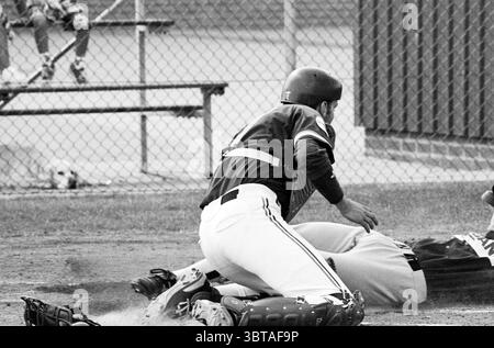Softball Pioneers - Bloemendaal, Whizgle News, Dutch Desk, Niederlande, 1950 - 2000 am 14-07-1995. Dies sind die Elemente im Bild. Die Szene fängt einen dynamischen Moment auf einem Baseballfeld ein. Im Vordergrund rutscht ein Spieler in einem dunklen Trikot und einer weißen Hose in eine Basis, wobei sein Körper teilweise gegen den Schmutz angespannt ist. Sein Helm ist leicht geneigt, was ein Gefühl der Dringlichkeit und Entschlossenheit widerspiegelt. Das Trikot des Spielers steht in starkem Kontrast zu dem hellen, staubigen Boden, der niedrig und leicht nach oben geschoben ist, was die Action und Geschwindigkeit des Spiels anzeigt. Im Hintergrund, ein anderer Spieler, Stockfoto