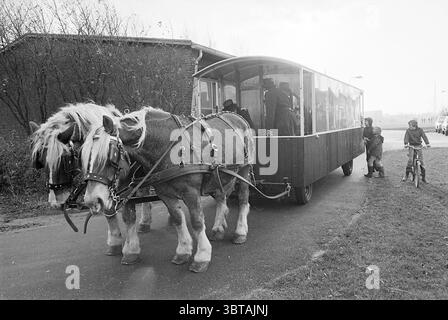 Vorschulkinder in der Pferdebahn Velsen-Noord. Kinder Kinder Kinder Kinderheime Kinder Party Kinder, Whizgle News, Dutch Desk, Niederlande, 1950 - 2000 am 27-11-1976. Dies sind die Elemente im Bild. In einer pastoralen Umgebung gibt es zwei starke Pferde, die zusammen angespannt sind und einen großen Holzwagen ziehen. Der Wagen hat eine abgerundete Oberseite und ist an den Seiten mit transparenten Paneelen versehen, die einen Blick auf die Personen im Inneren ermöglichen. Die Pferde haben dicke, fließende Mähnen, die weiß- und Brauntöne zeigen und einen auffälligen Kontrast zum dunklen Holz des Wagens bilden. Auf dem Weg fährt ein Kind mit dem Fahrrad nea Stockfoto